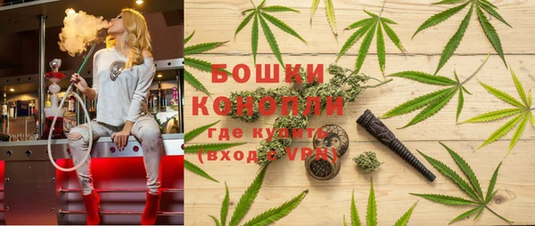 стаф Новодвинск
