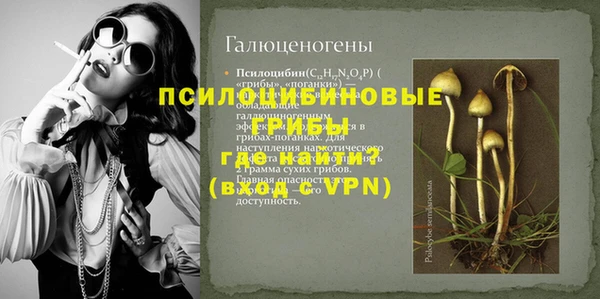 ГАЛЛЮЦИНОГЕННЫЕ ГРИБЫ Алексин