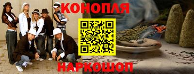 шишки Саянск