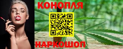 шишки Саянск