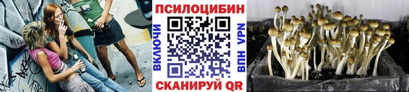 нарко площадка формула  Абакан  Галлюциногенные грибы Magic Shrooms  ссылка на мегу рабочий сайт 