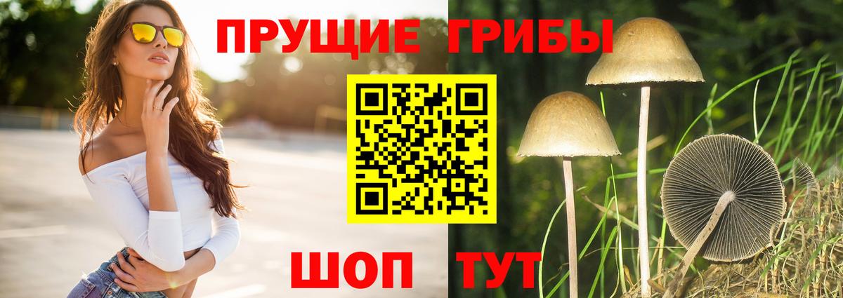 Галлюциногенные грибы GOLDEN TEACHER  Вход с VPN  Абакан 