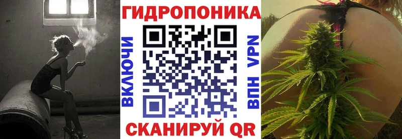 Шишки марихуана OG Kush  кракен сайт  Абакан 